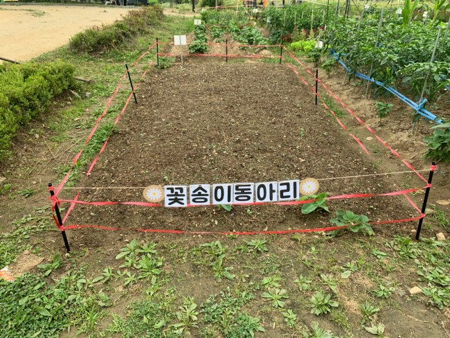 3635314589.jpg